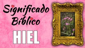 ¿Qué es Hiel en la Biblia? Descifrando Simbolismos Bíblicos