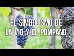 ¿Qué es un Pámpano en la Biblia? Descubriendo Sus Significados y Simbolismos