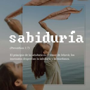 ¿Qué es un principio en la Biblia? Desentrañando las bases de la sabiduría bíblica
