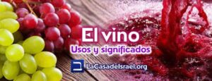 Que es una Viña en la Biblia: Descubriendo el Significado y Simbolismo Bíblico de las Viñas