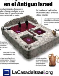 Que representa el vino en la Biblia: Un recorrido espiritual e interpretativo