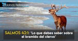 Que significa brama en la Biblia: Un análisis detallado de su uso y contexto