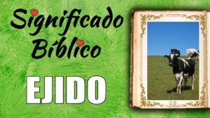Que Significa Ejidos en la Biblia: Revelando el Misterio de este Término Bíblico Antiguo
