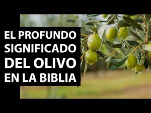 Que significa el árbol de olivo en la Biblia: Un profundo análisis simbólico