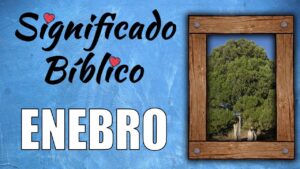 ¿Qué significa Enebro en la Biblia? Desentrañando su Simbolismo y Significado Espiritual