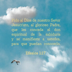 Que Significa Fervor en la Biblia: Entendiendo la Pasión Espiritual Según los Versículos Sagrados