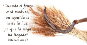 Que significa Hoz en la Biblia: El profundo significado detrás de este símbolo bíblico