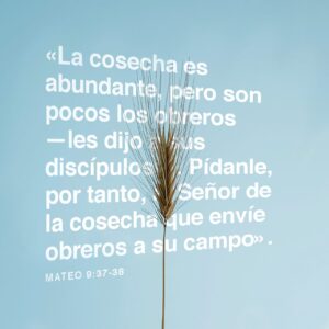 Que significa la mies es mucha en la Biblia: Interpretación y Profundidad de este Importante Versículo Bíblico