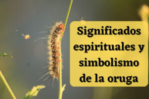 ¿Qué significa la oruga en la Biblia? Descubre su simbolismo y relevancia en los textos sagrados