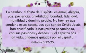 Qué Significa Mansedumbre en la Biblia: Interpretación y Aplicación en la Vida Cristiana