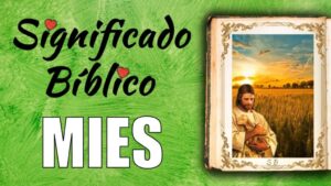 Que significa Mies en la Biblia: Un Profundo Análisis Bíblico