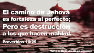 ¿Qué significa Proverbios en la Biblia? Descubre el significado y la sabiduría oculta en este libro bíblico