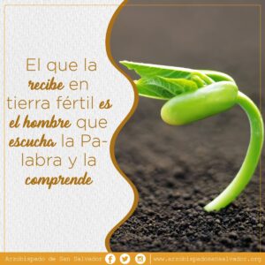 Que significa tierra fértil en la Biblia: Un estudio profundo de su simbolismo y significado espiritual