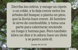 ¿Qué Significado Tiene el Árbol de Navidad en la Biblia? Descubre el Verdadero Simbolismo Bíblico