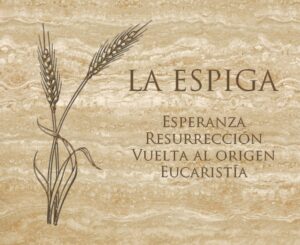 Qué son las Espigas en la Biblia: Significado y Simbolismo en el Texto Sagrado