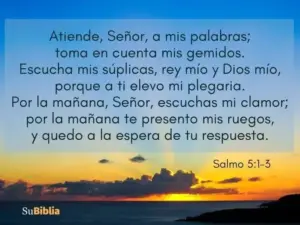 ¿Qué son los Salmos en la Biblia? Descubre el Poder y Profundidad de estos Poemas Sagrados