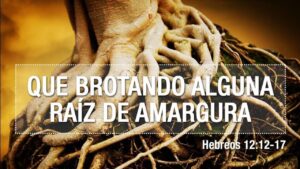 Raíces de Amargura en la Biblia: Un Análisis Profundo y Transformador