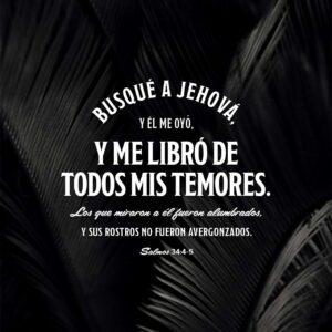 Salmos de la Biblia en Español: Conexión Divina en Tu Idioma