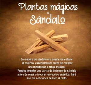 Sándalo: Significado Espiritual y Simbolismo en la Biblia