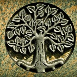 Significado de Árbol Seco en la Biblia: Simbolismo Profundo y Revelador Explicado