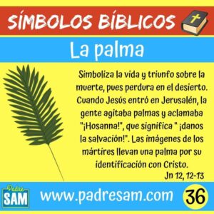 Significado de la Palmera en la Biblia: Un Símbolo Sagrado Explicado