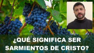 Significado de Sarmientos en la Biblia: Una Mirada Profunda a su Simbolismo y Contexto Bíblico