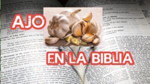 Significado del Ajo en la Biblia: Explorando su Simbolismo y Referencias Bíblicas