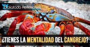Significado del Cangrejo en la Biblia: Descubriendo su Simbolismo en las Sagradas Escrituras