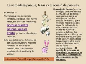 Significado del Conejo en la Biblia: Descubriendo Sus Simbolismos Bíblicos