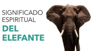 Significado del Elefante en la Biblia: Un Análisis Profundo de su Simbolismo