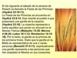 Textos de Primicias en la Biblia: Un Análisis Profundo sobre su Significado y Relevancia