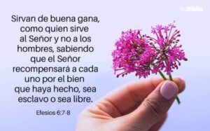 Trabajar en la Biblia: Explorando Versículos que Inspiran a Nuestra Labor Diaria