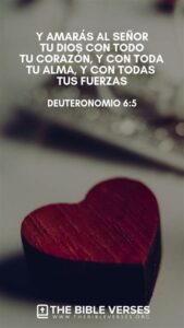 Versículos de Amor en la Biblia: Explore el Corazón Divino a través de Sus Palabras