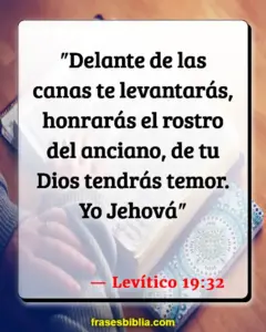 Versículos de los Abuelos en la Biblia: Sabiduría y Respeto en las Sagradas Escrituras