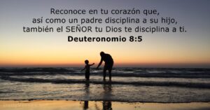 Versículos de Orden en la Biblia: Descubre la Sabiduría Divina para una Vida Disciplinada