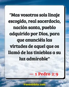 Versículos de Santidad en la Biblia: Explorando Nuestra Llamada a Vivir una Vida Santa