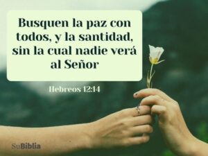 Versículos de Santificación en la Biblia: Descubre el Camino Hacia la Pureza Espiritual Según las Escrituras Sagradas