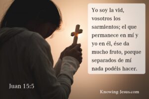 Versículos para jóvenes en la Biblia: Guía espiritual y de vida