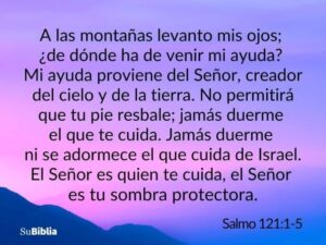 Versos de Fe en la Biblia: Inspiración Divina para Fortalecer tu Esperanza y Confianza